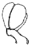 Heart Shaped Head Covering